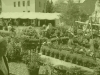 · Großer Pflanzenmarkt (u.a. Balkonpflanzenangebot)